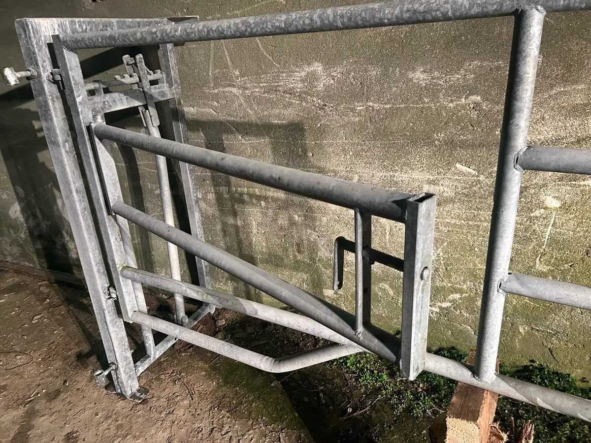 Calving crush gate - Image 4