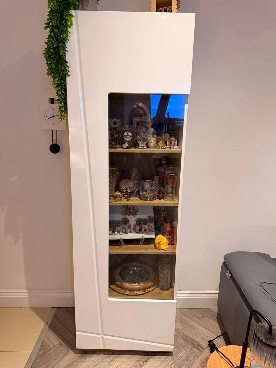 Freestanding Cabinet - Image 1