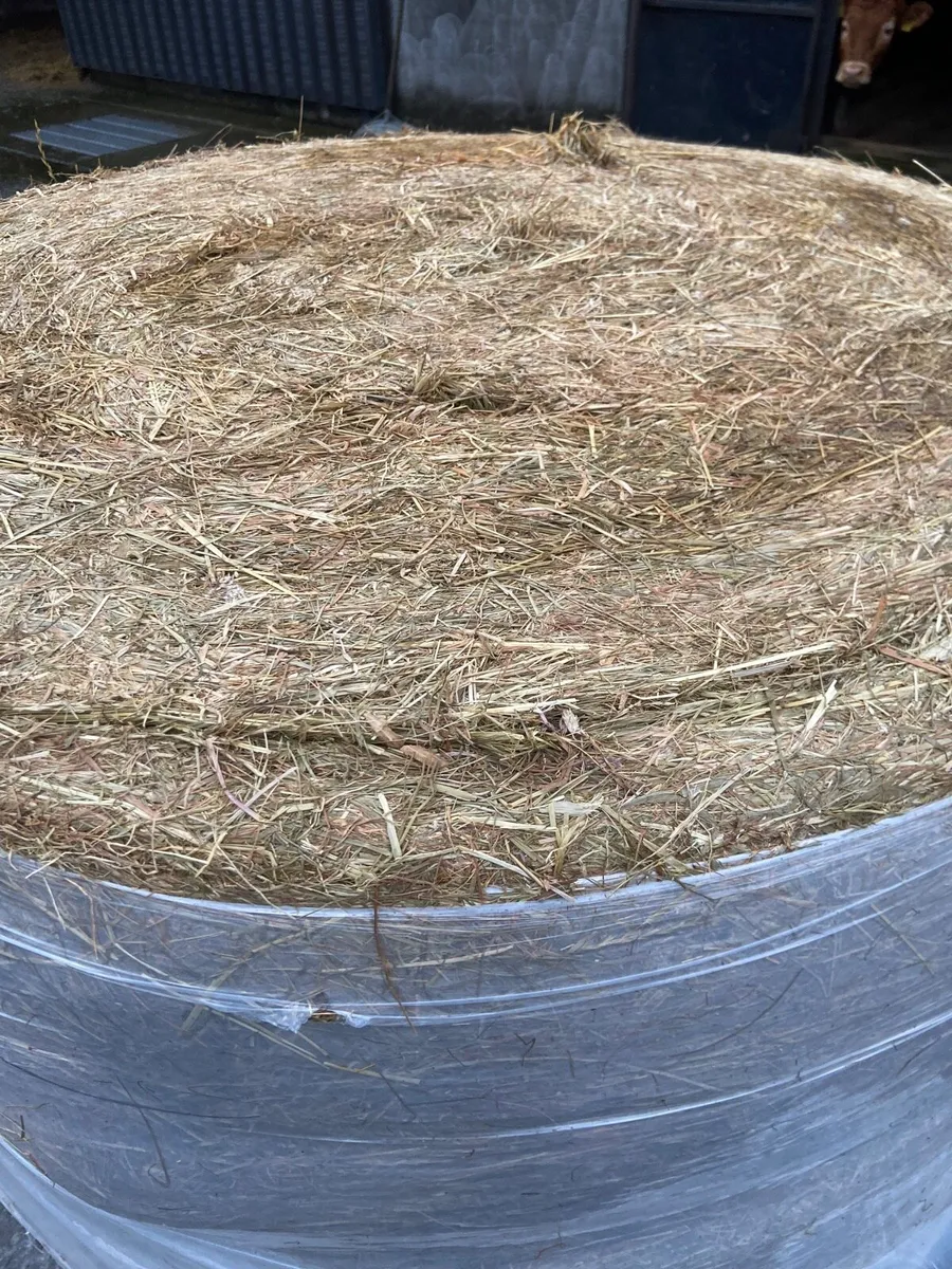 Bales of silage - Image 4