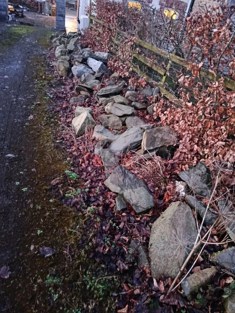 Building limestone - Image 1