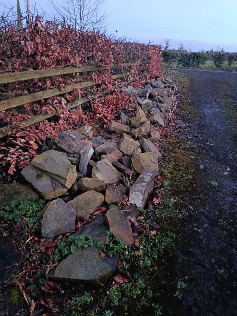 Building limestone - Image 2