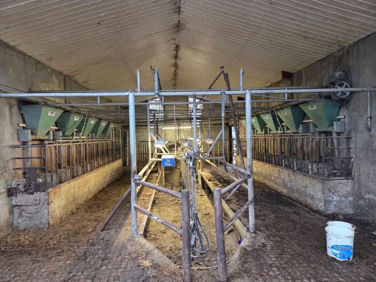 Milking parlour feeders - Image 3