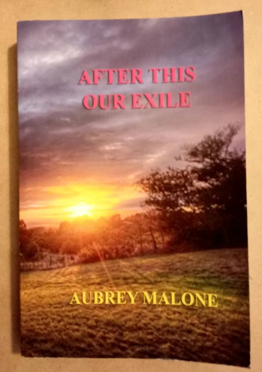 Three Aubrey Malone Ballina Themed Books - Image 2