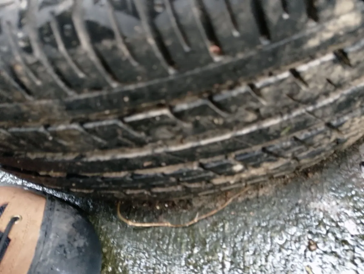 Passat for breaking 1.6 dsl - Image 2