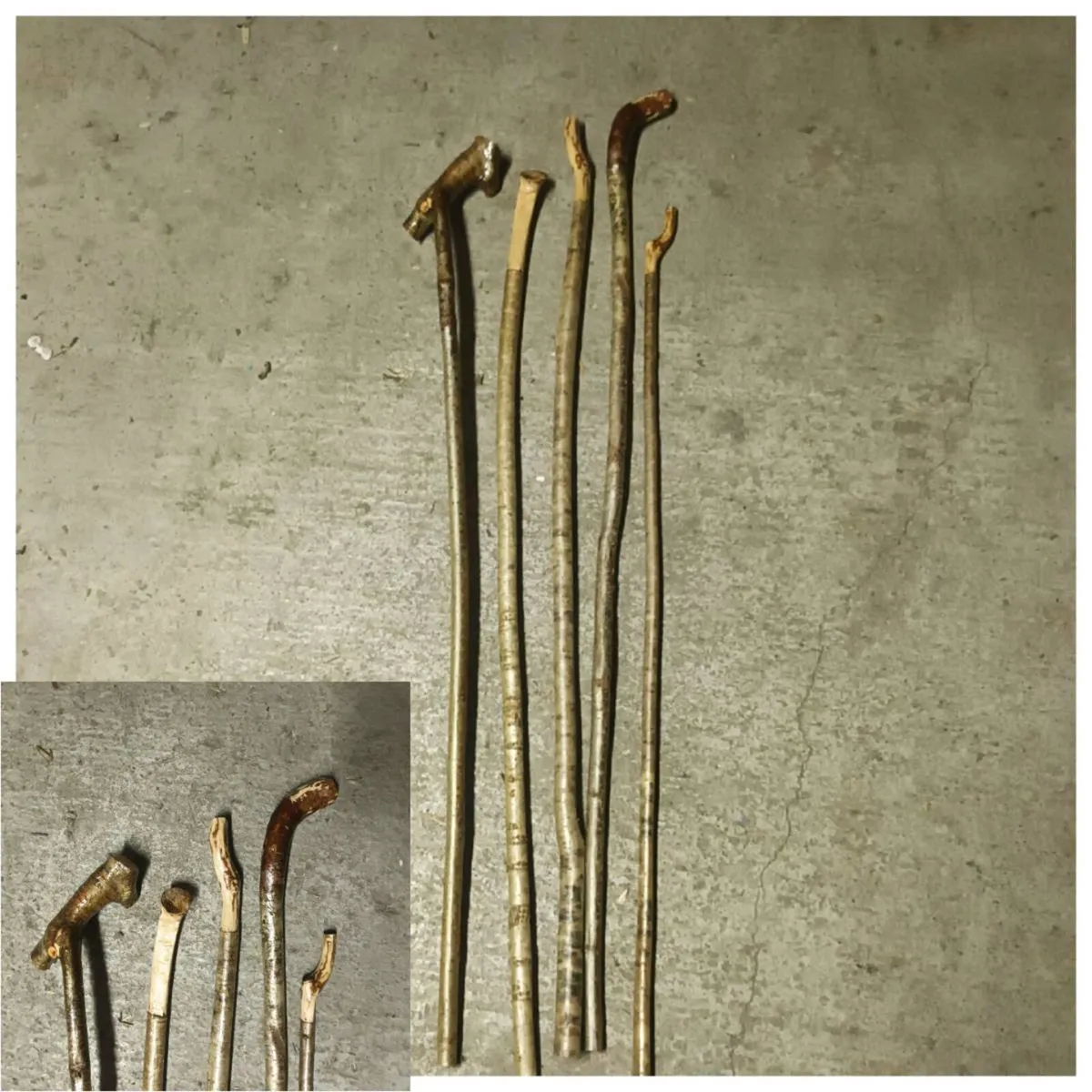 Walking sticks - Image 1