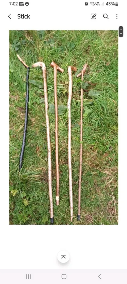 Walking sticks - Image 2