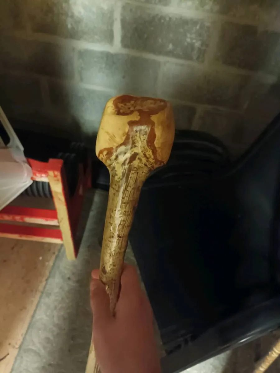 Walking sticks - Image 3