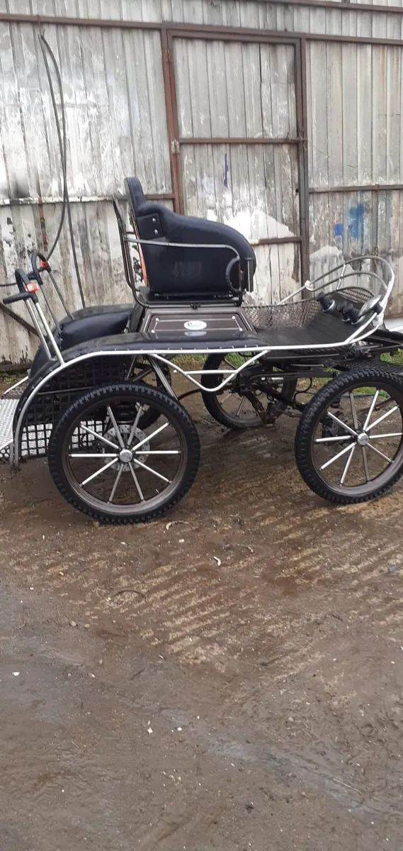 Horse Drawn Vehicle - Image 1