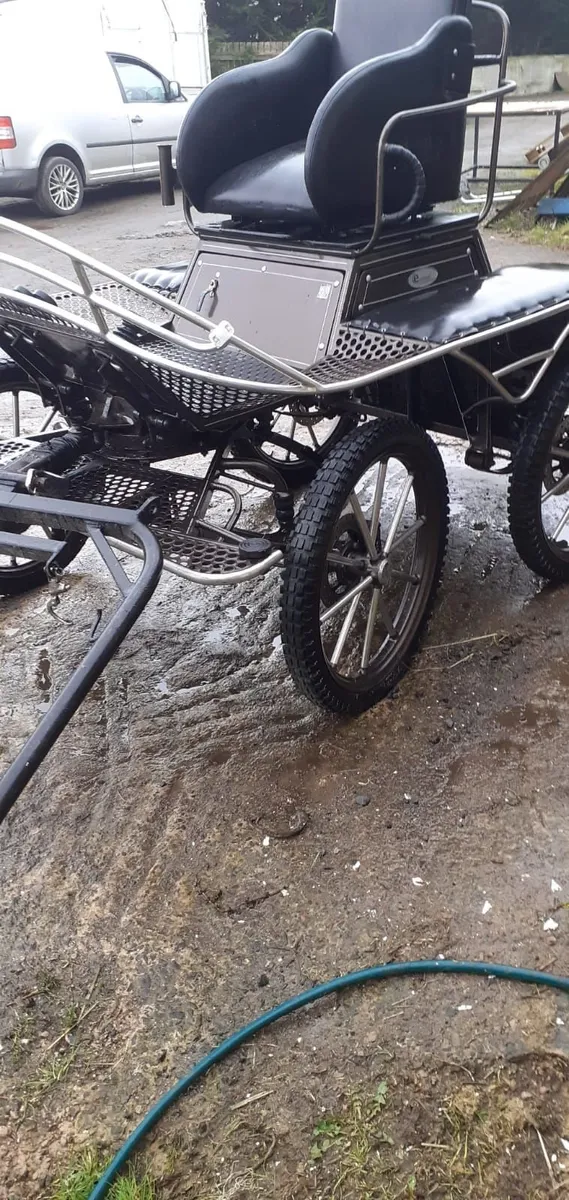 Horse Drawn Vehicle - Image 2