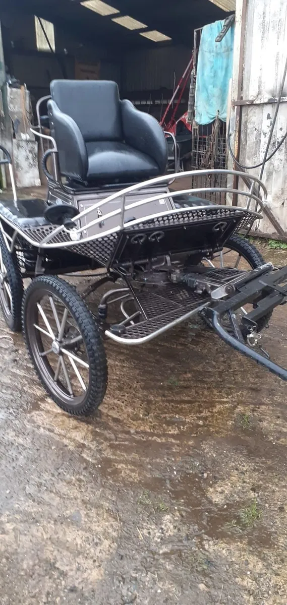 Horse Drawn Vehicle - Image 3