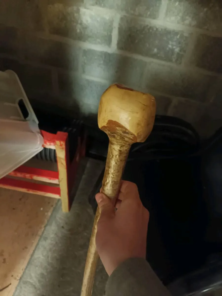 Walking sticks - Image 4