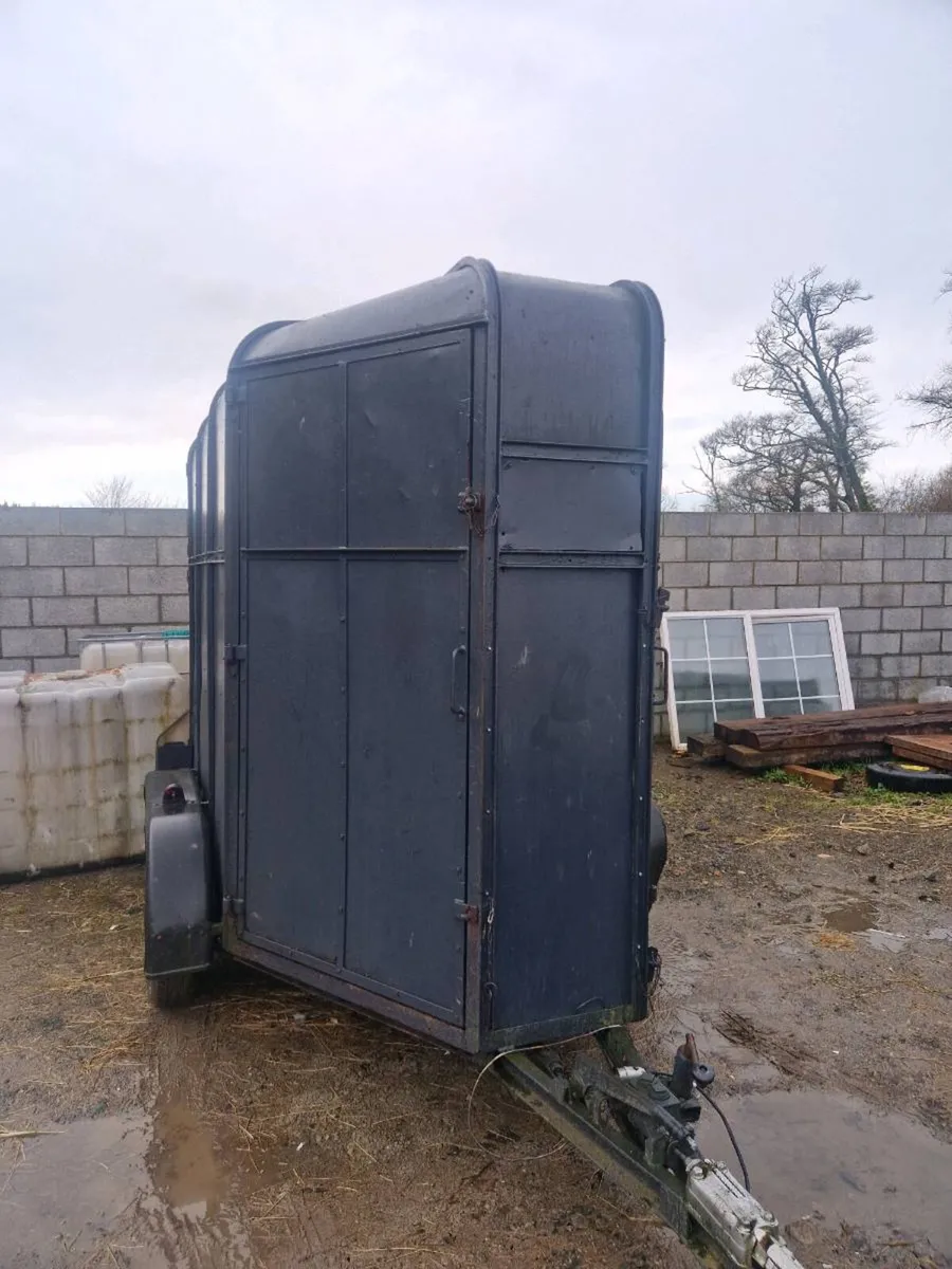 Horse box - Image 3
