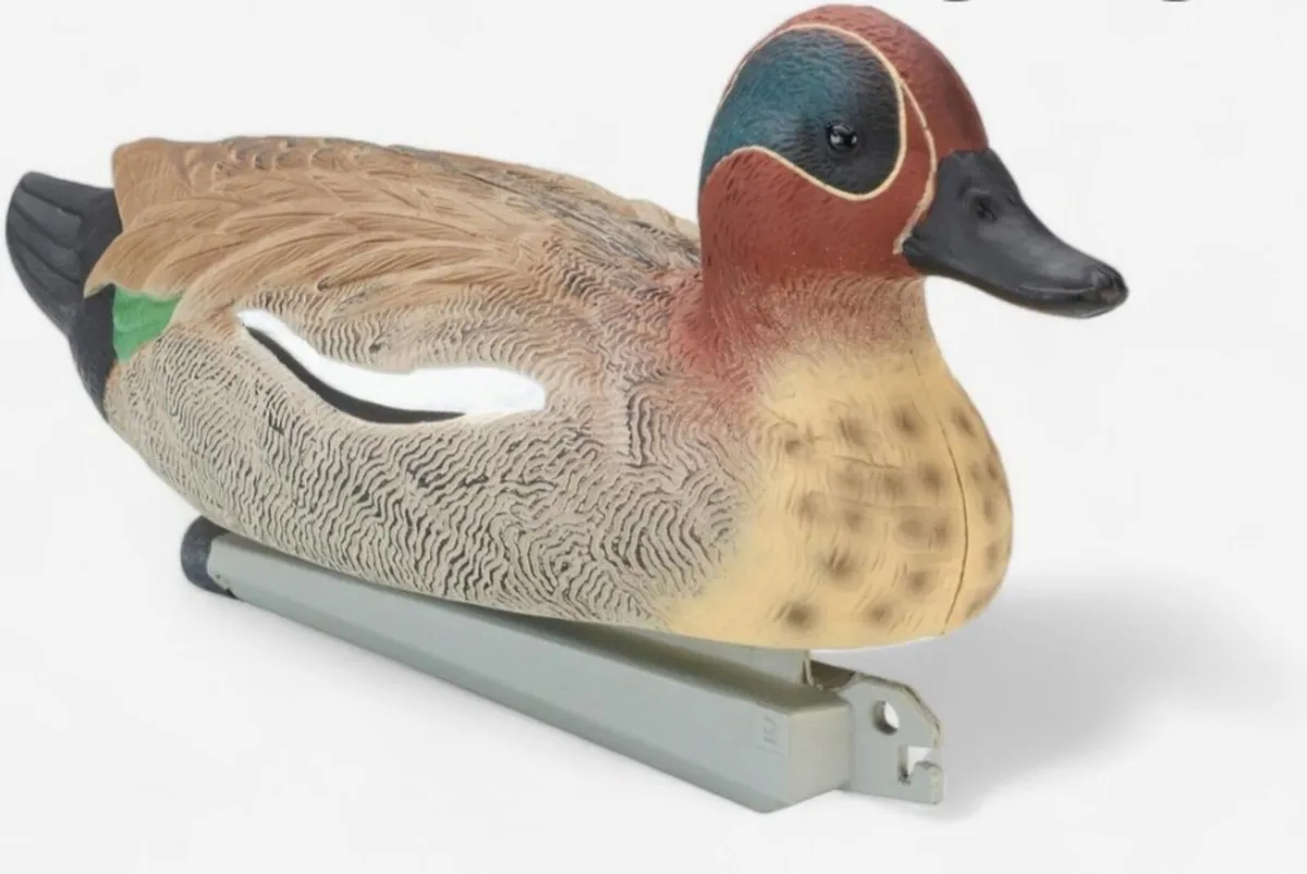 Duck decoys WANTED - Image 1
