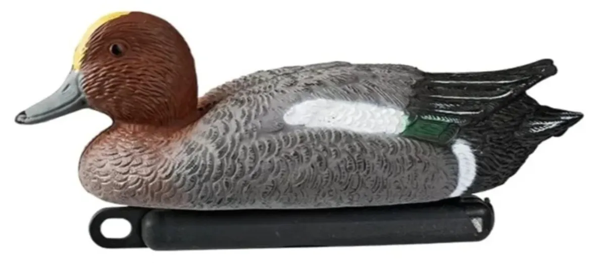 Duck decoys WANTED - Image 2