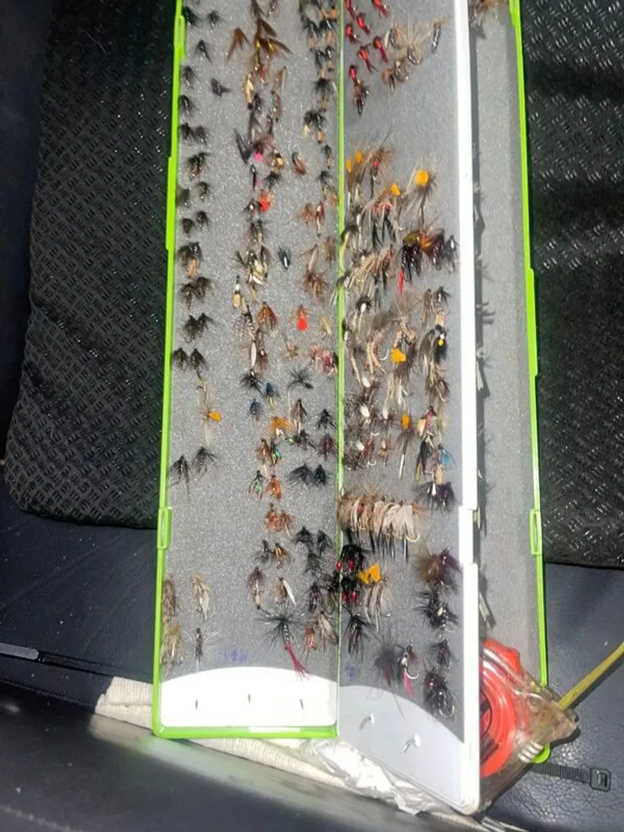 Fly Collection - Image 3