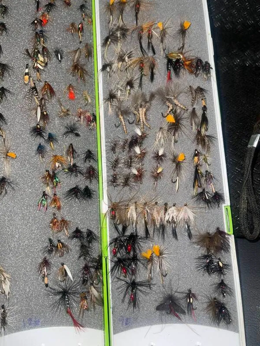 Fly Collection - Image 4