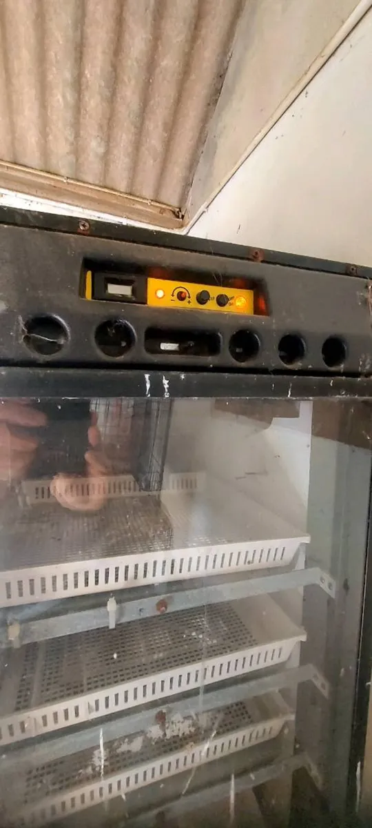 Incubator - Image 3