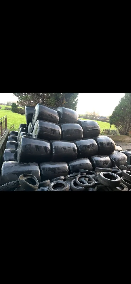 Silage bales - Image 2