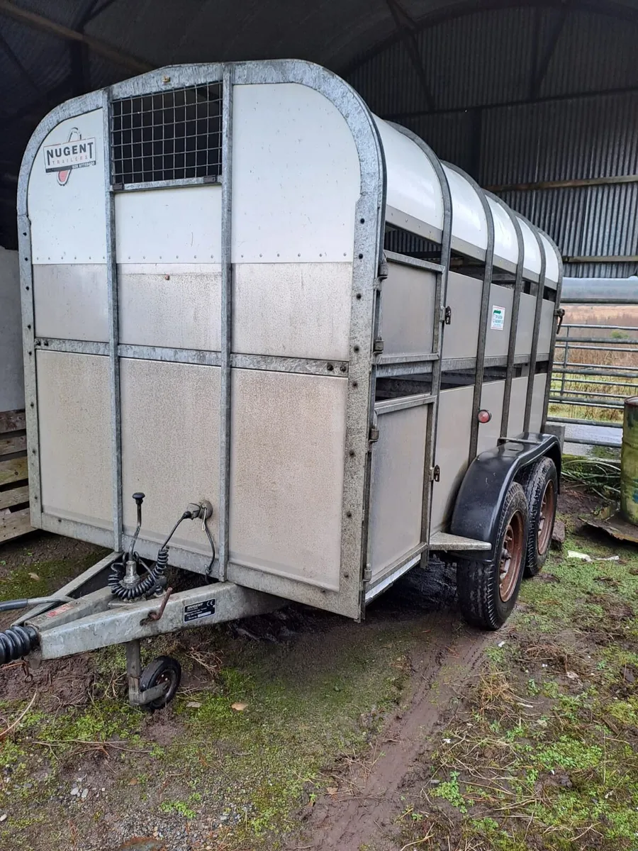 Nugent Cattle Trailer