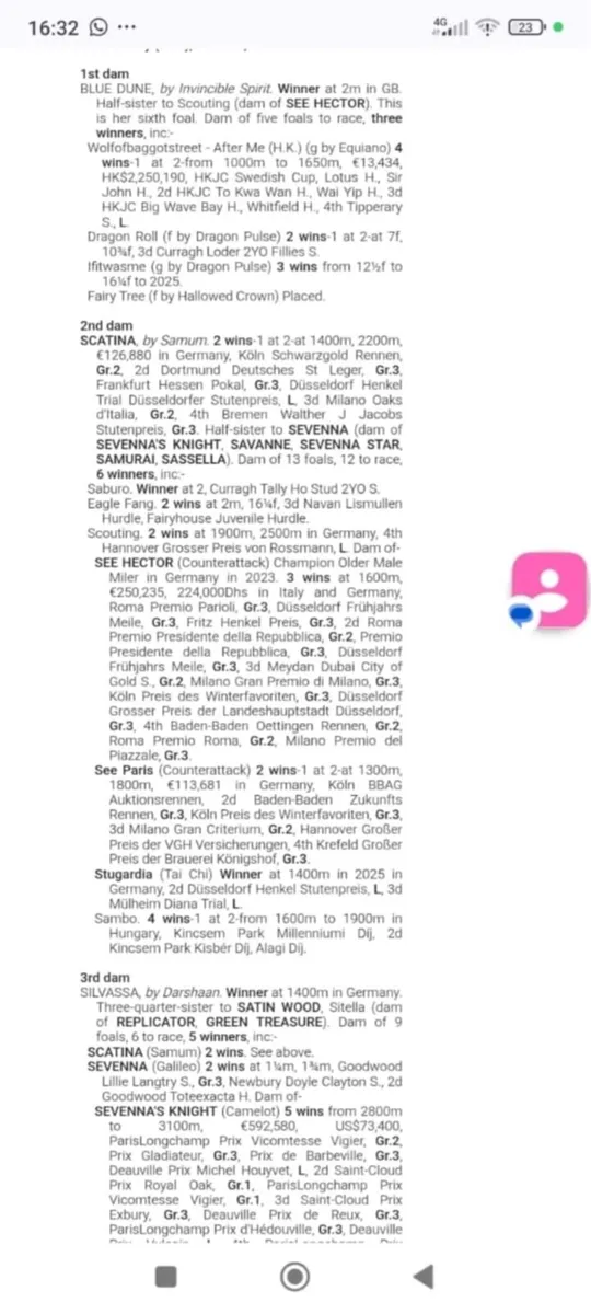 3yr old Thoroughbred Colt for Sale - Image 2