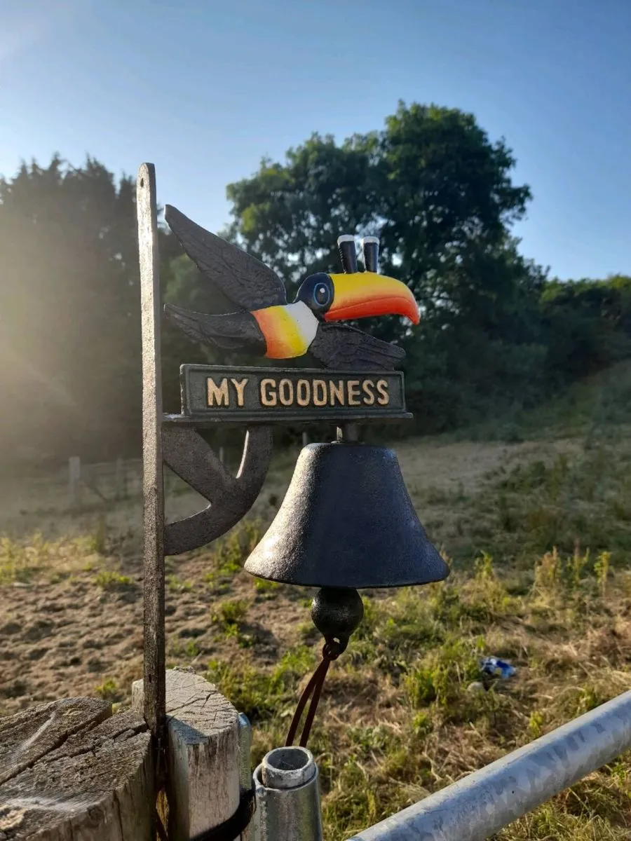 Guinness Toucan Bell - Image 2