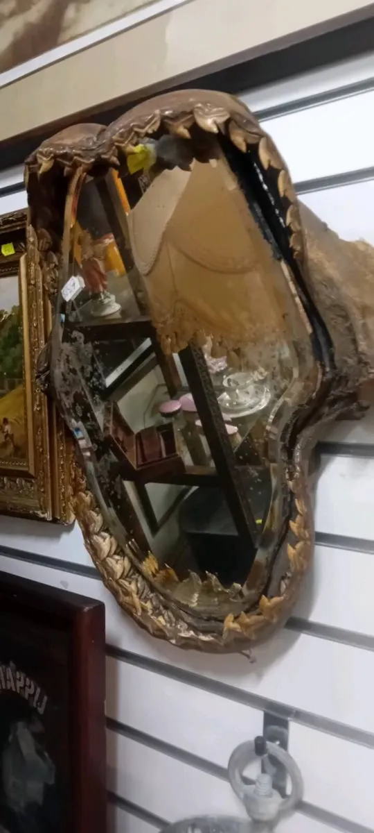 Victorian Taxidermy Great White Sharks Mouth - Image 1