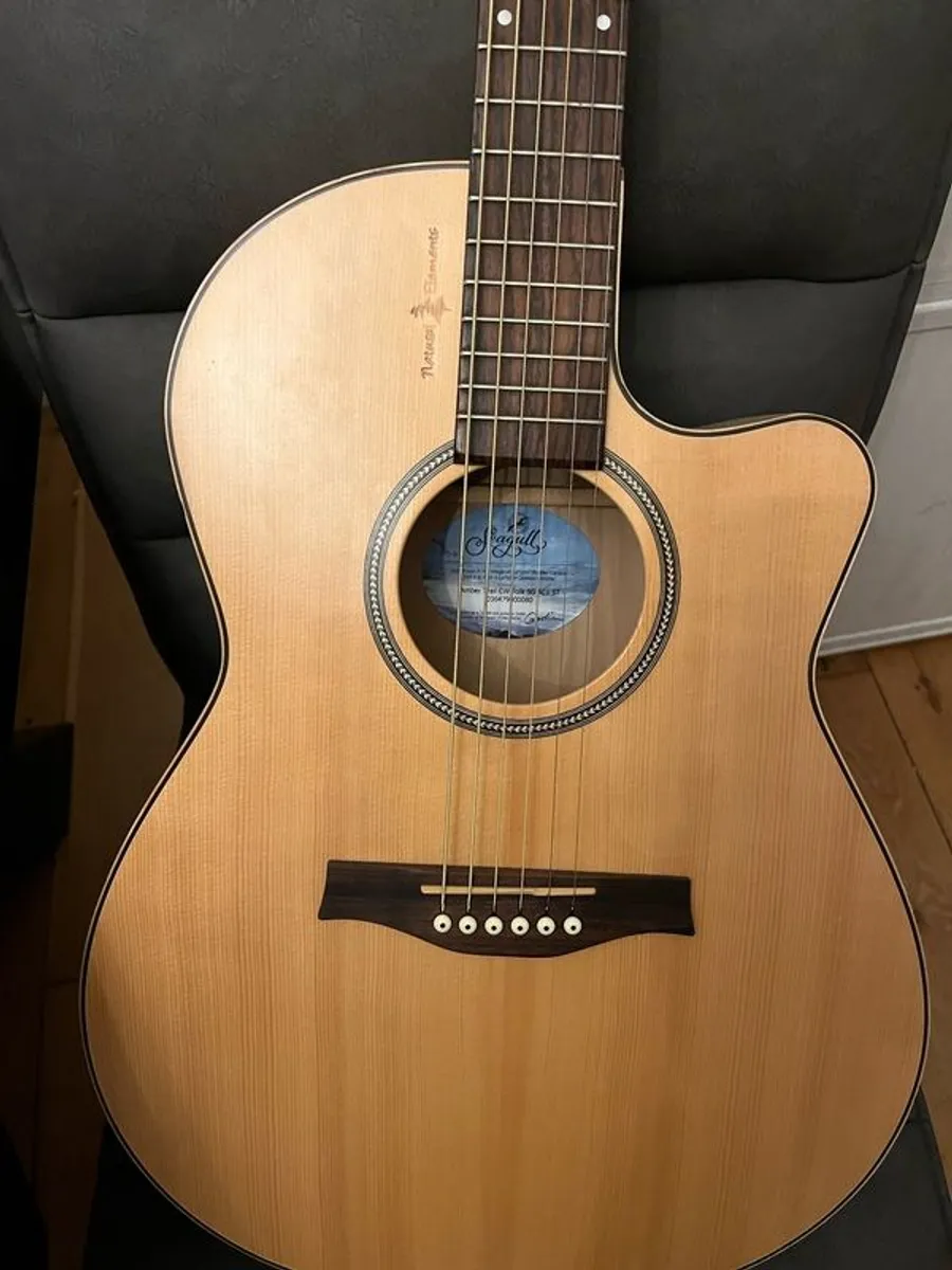 Seagull Canadian Handcrafted Electro-Acoustic Guitar and Amp Setup - Image 2
