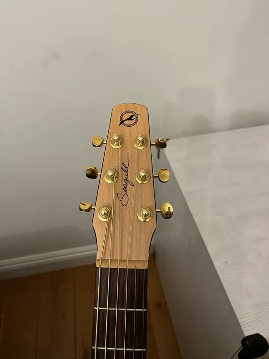 Seagull Canadian Handcrafted Electro-Acoustic Guitar and Amp Setup - Image 4