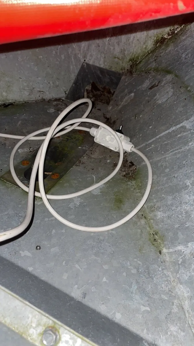 Sheep snacker - Image 3