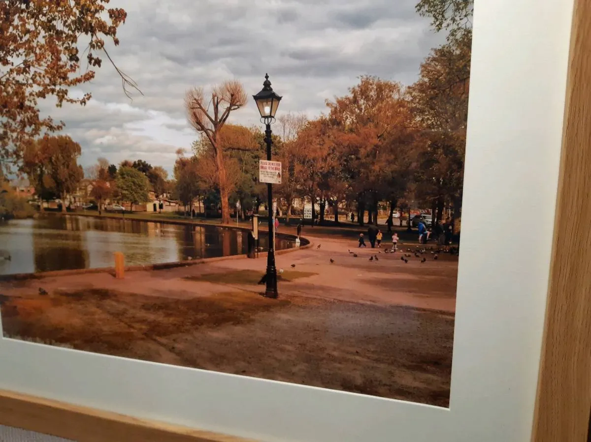 The Lough, Cork - Image 3