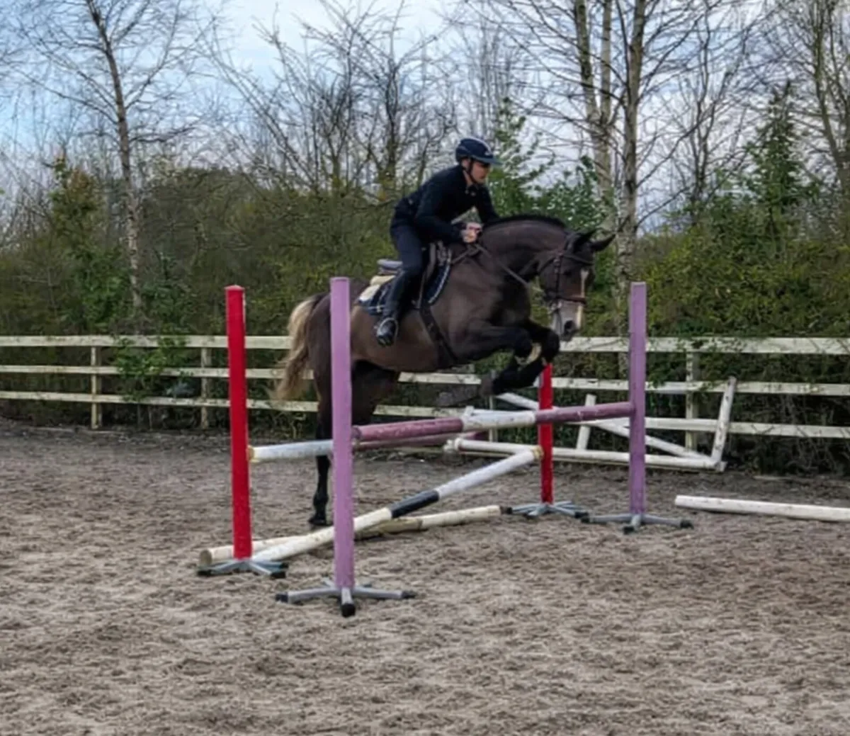 Livello x Diamant de Semilly - Image 2