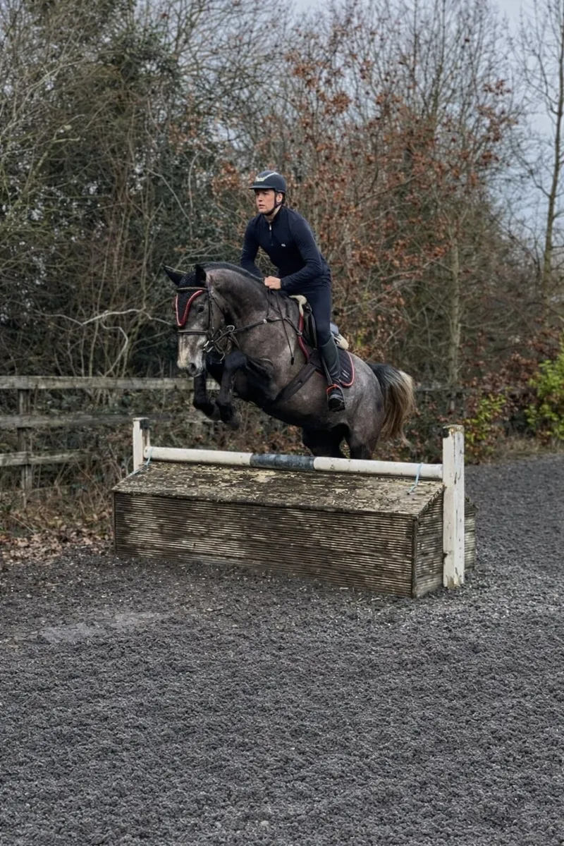 Livello x Diamant de Semilly - Image 3