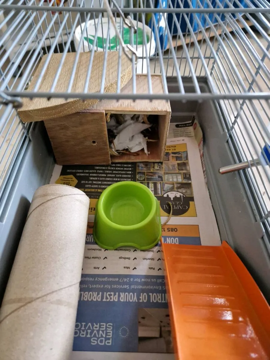 Hamster cage small pets section - Image 2