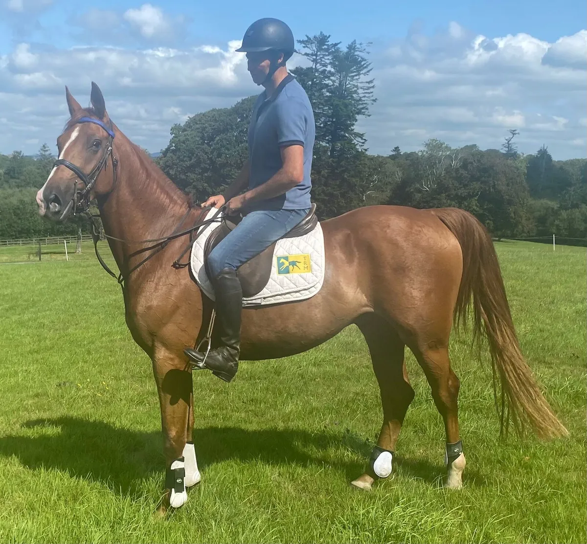 3 5 yr oldes for sale - Image 2