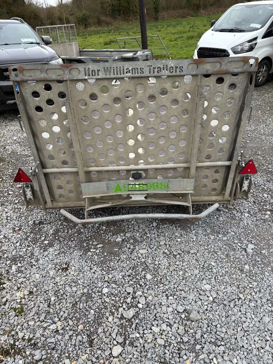 I for Williams plant trailer 10 by 5,4 - Image 4
