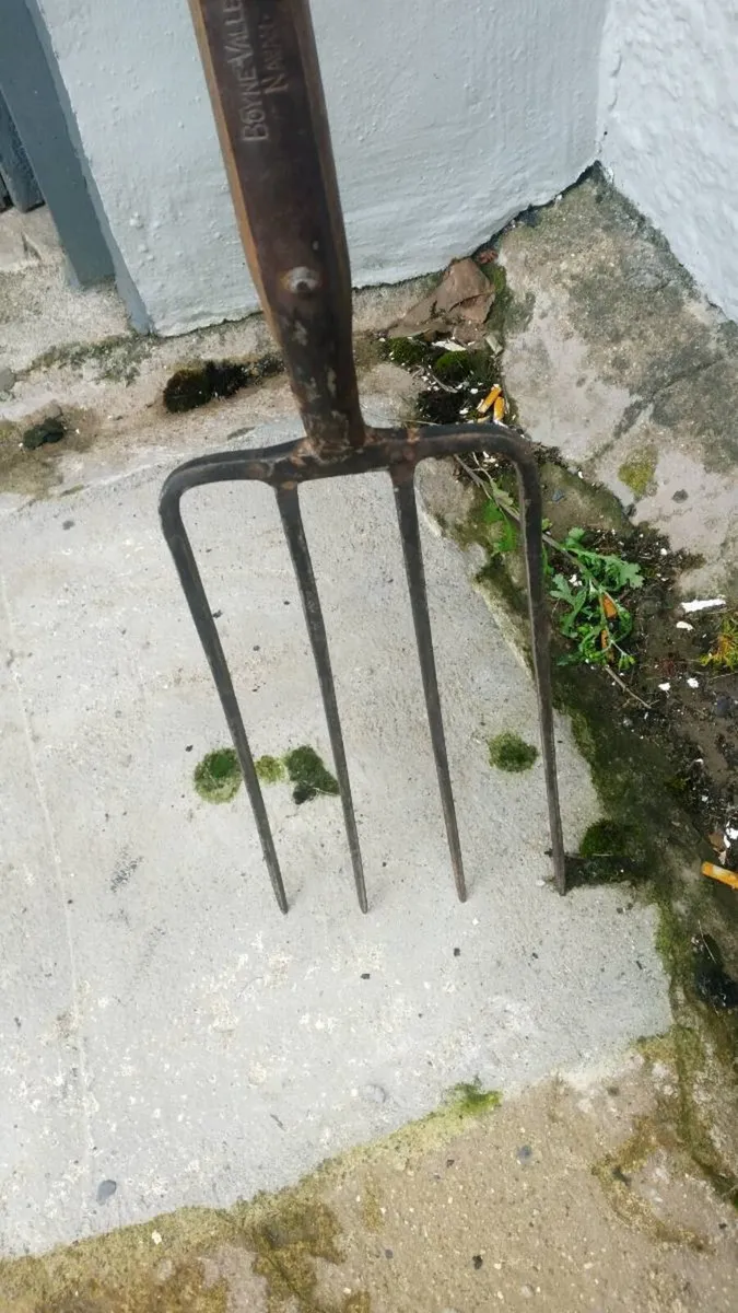 Rare antique Boyne Valley Pike - Image 3
