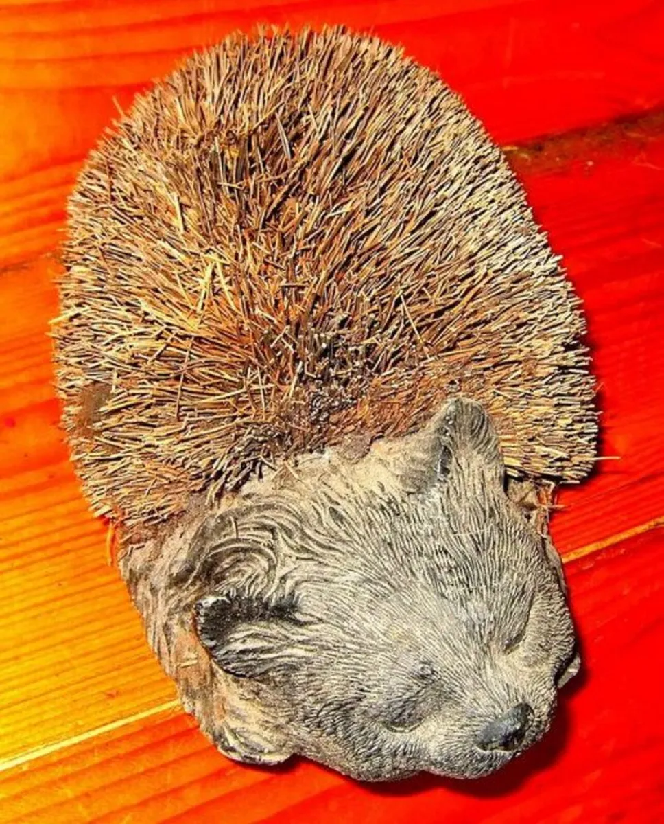 Vintage Boot Brush - Image 2