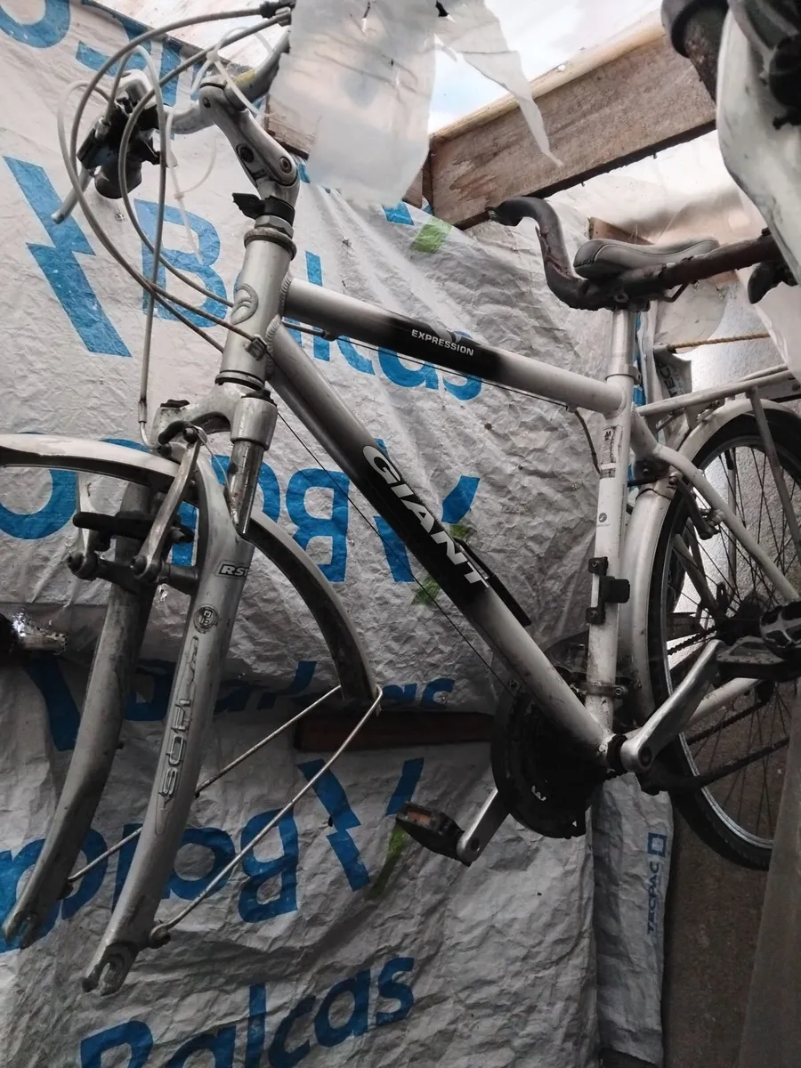 All bikes for sale 40e each read add priced - Image 1