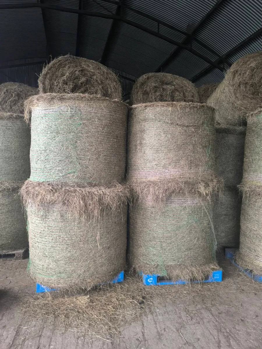 Hay For Sale