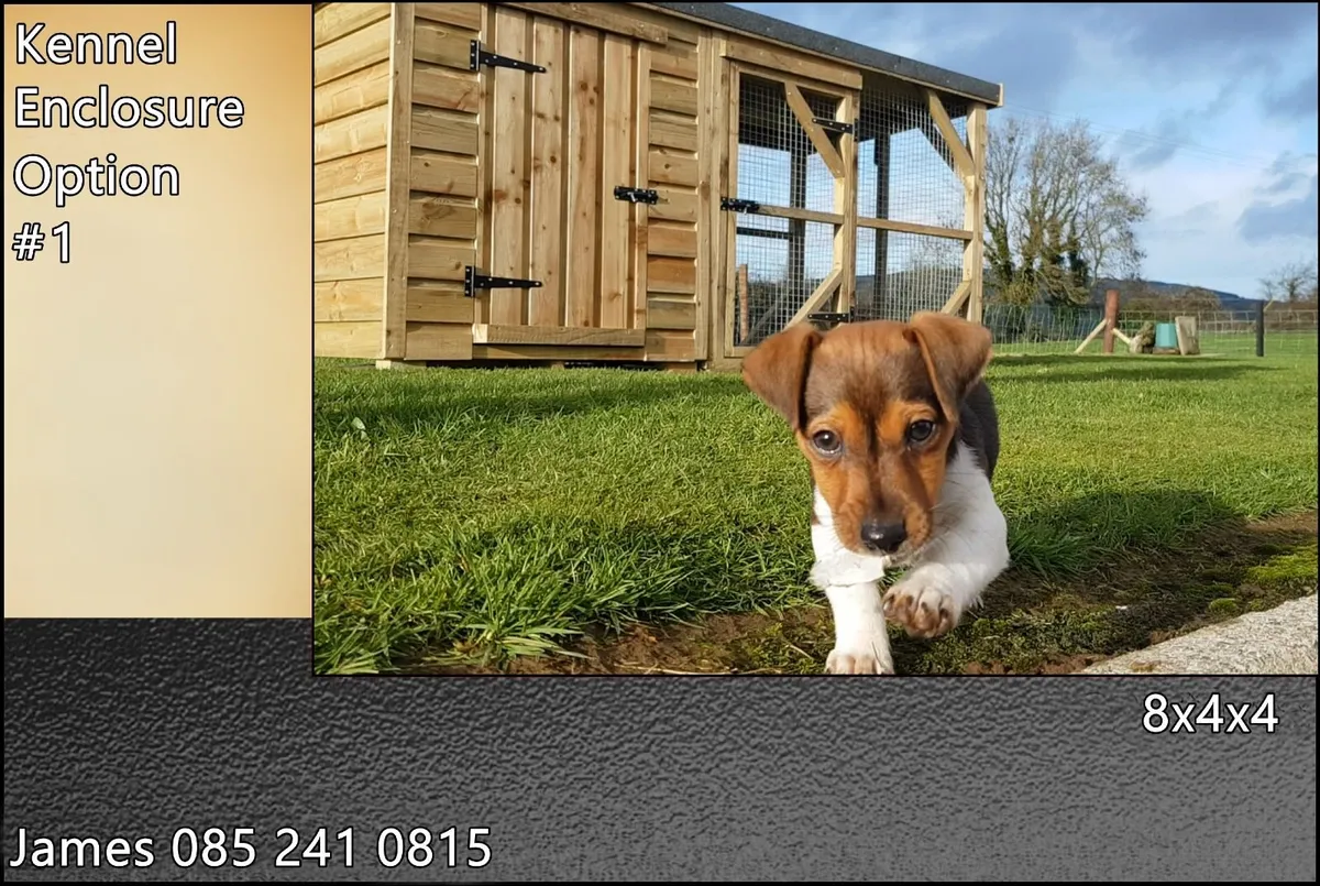 Dog Box With Enclosure - Image 3