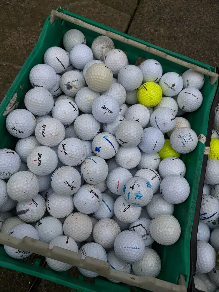 50 Top Brand Golf Balls