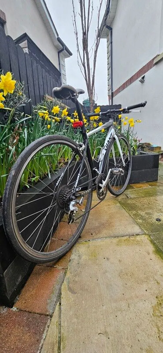 Giant Bike - Image 2