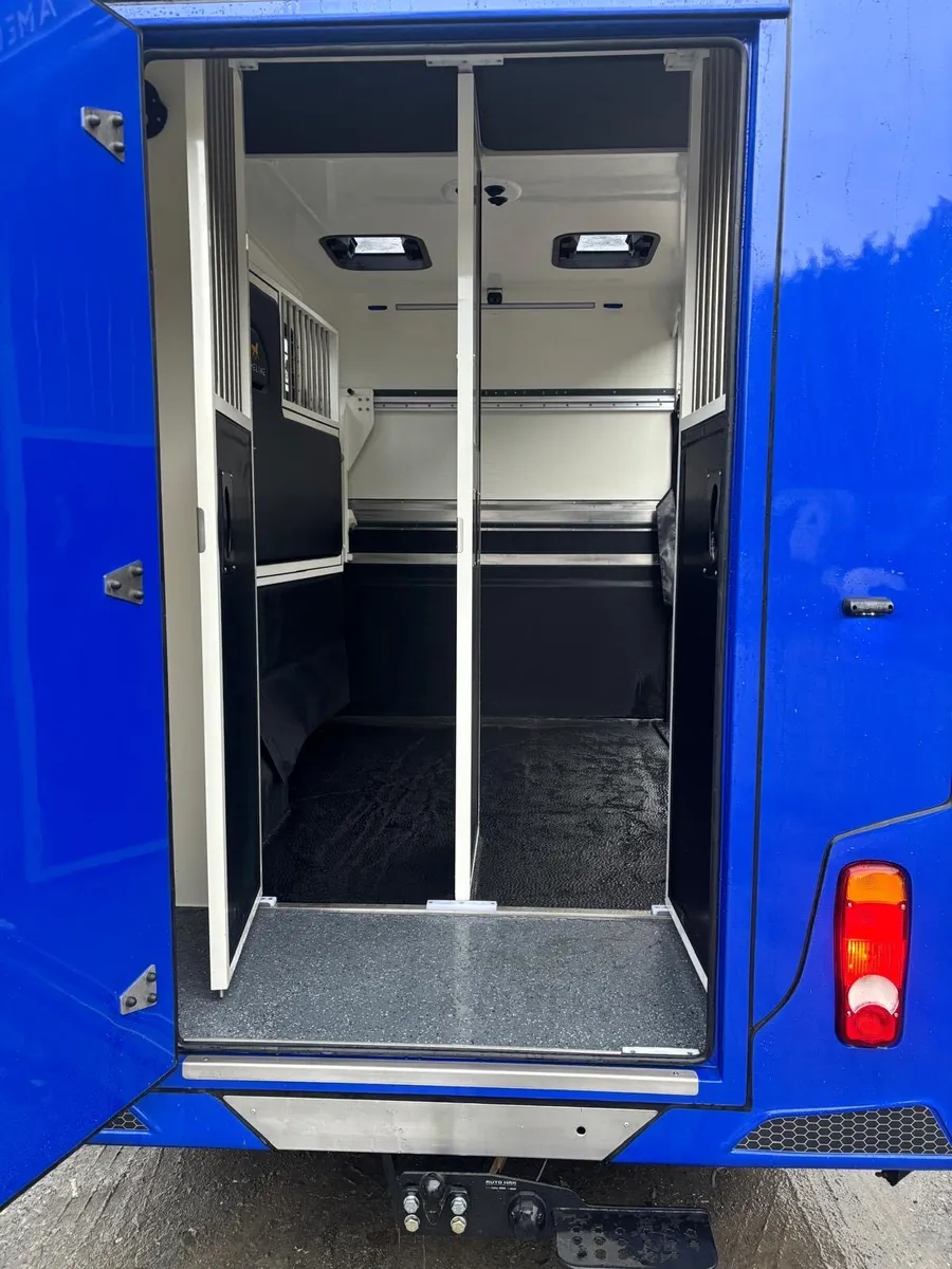 3.5 ton horse van - Image 4