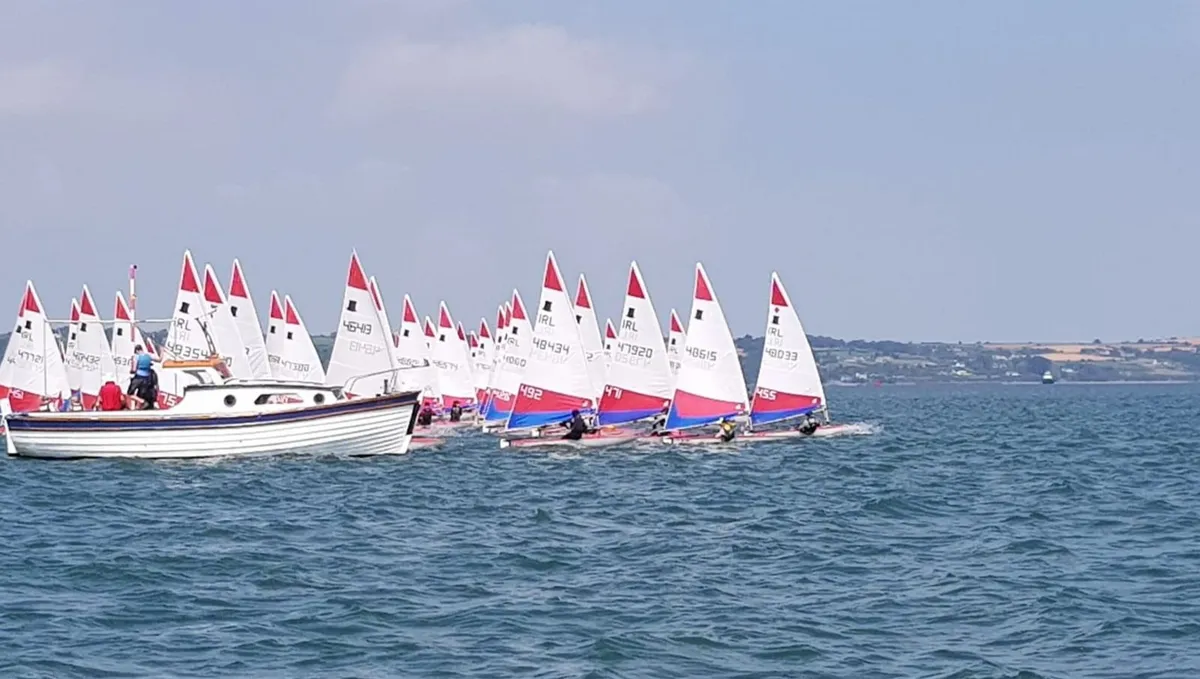 Topper 48033 For Sale - Image 2