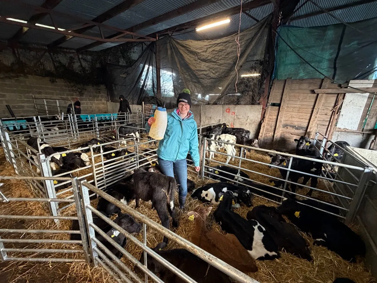 Night calver - Image 1