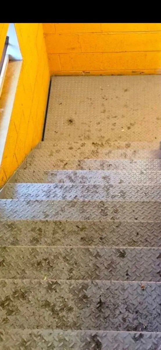 Steel stair case - Image 2