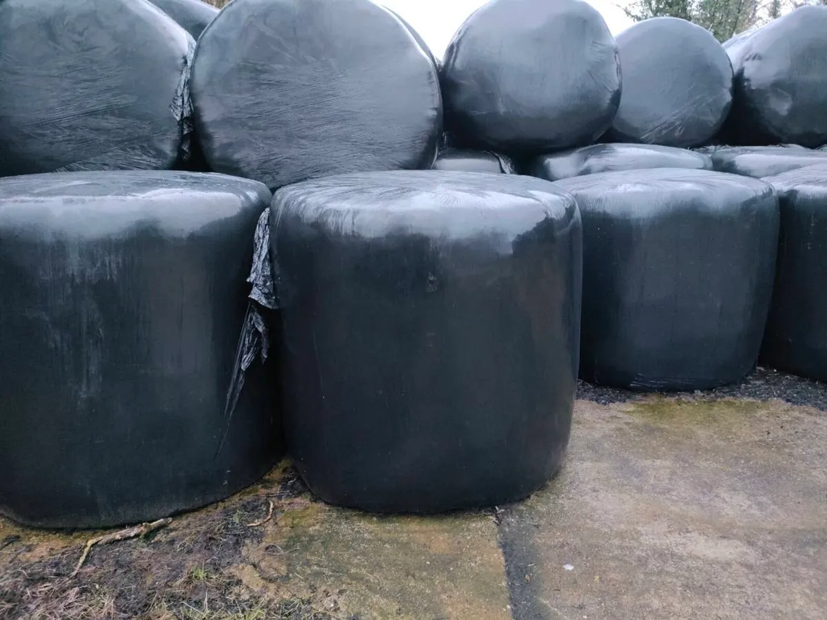 First cut silage - Killimor - Image 1