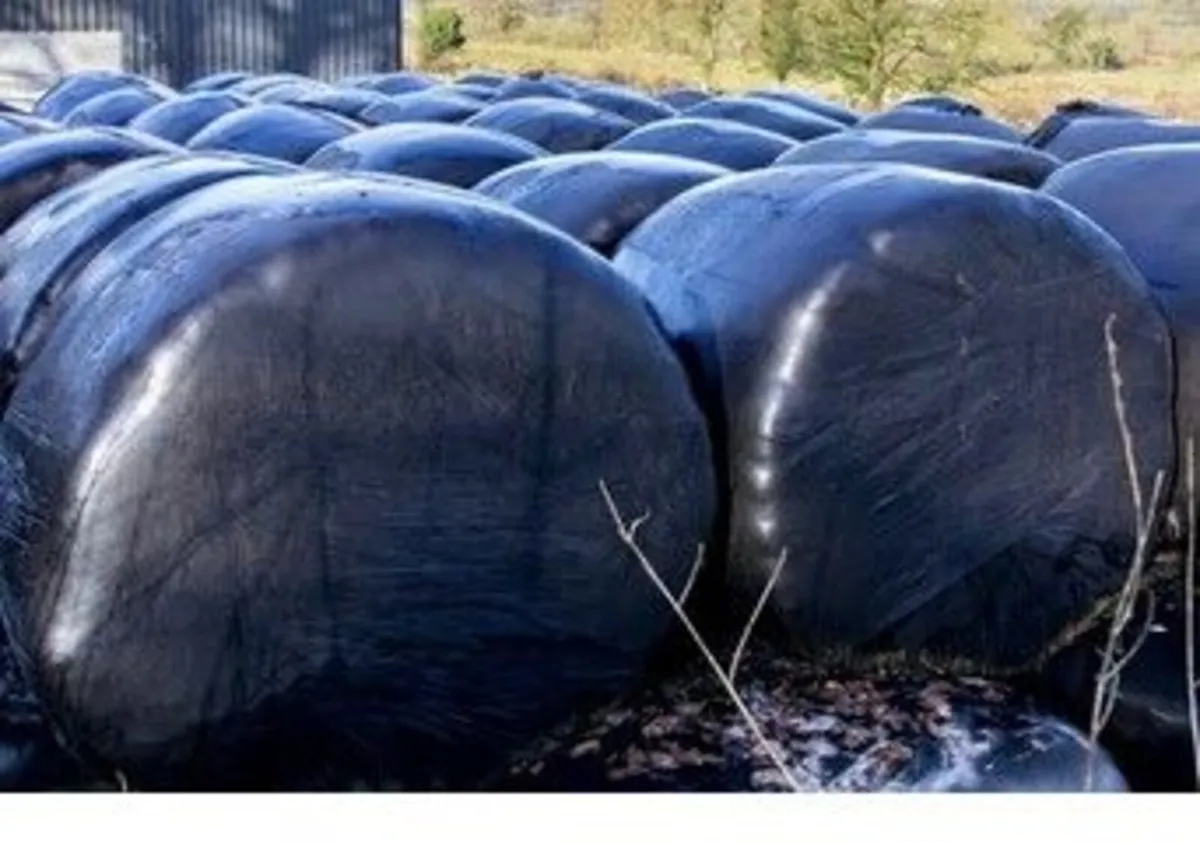 Silage bales