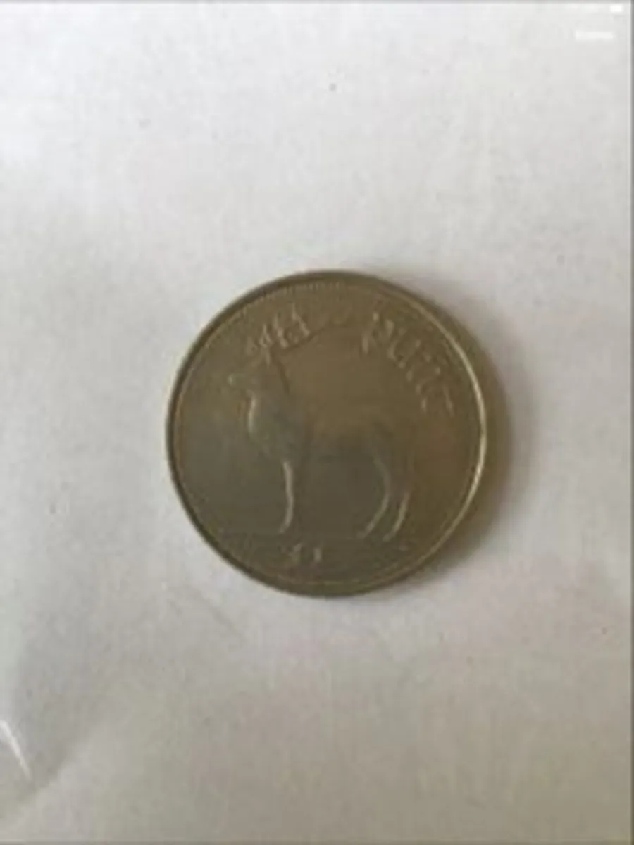Irish Punt Coin