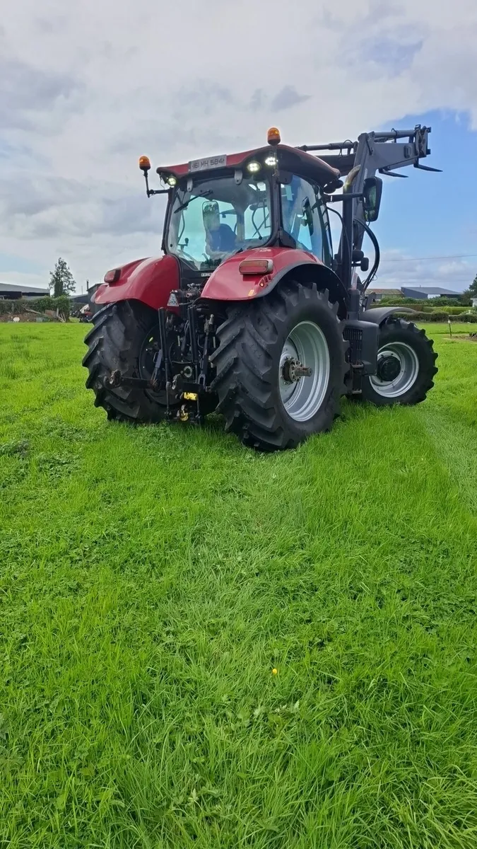 Case puma 165 - Image 2